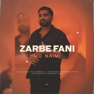 مو نعیمی – ضربه فنی